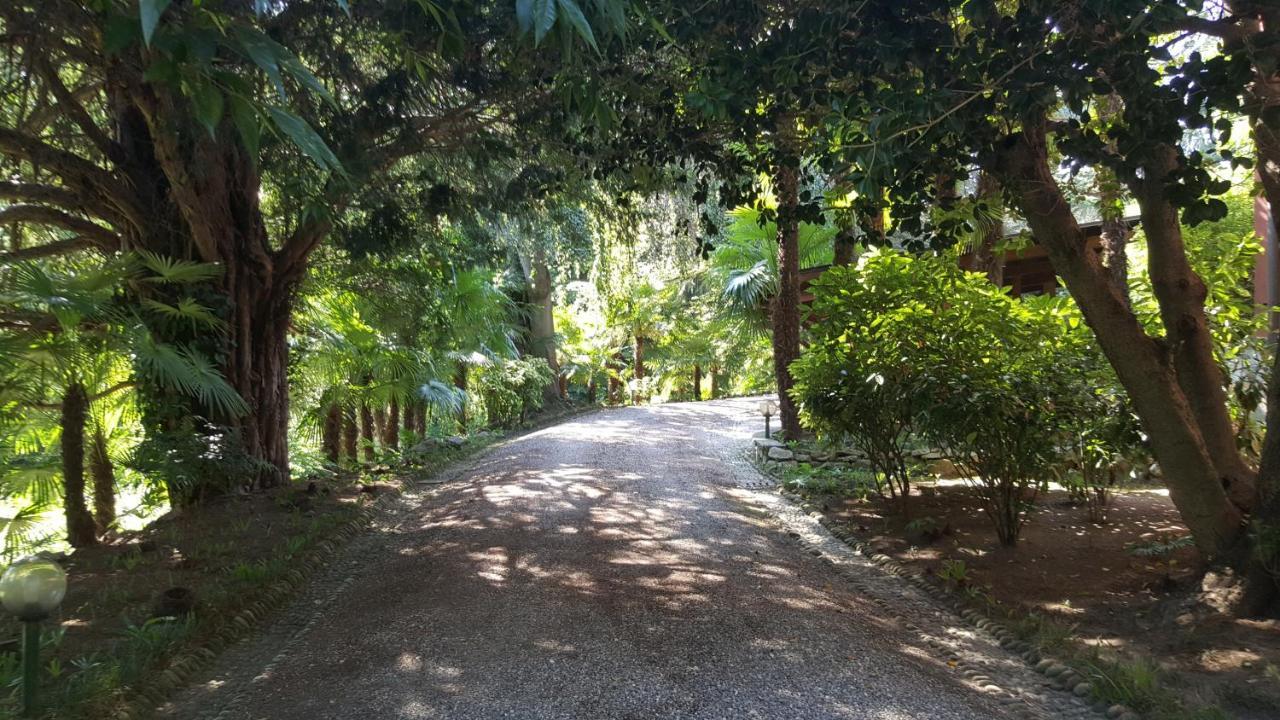 Villa Magnolia Lago Maggiore Besozzo Zewnętrze zdjęcie